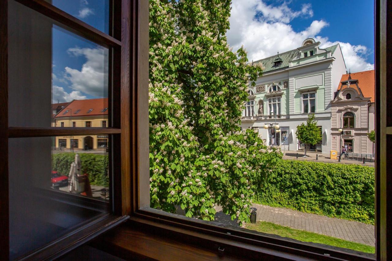 Castle Hotel & Wellness Poděbrady Dış mekan fotoğraf